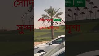 সৌদি আরব সুন্দর একটি দৃশ্য #shortsvideo #riyadh #2023 #2023