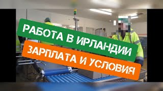 Работа в Ирландии для Укранцев 👷‍♂Какая у нас зарплата??!💲