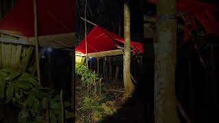 TEMPAT TIDUR TERNYAMAN SAAT CAMPING DIHUTAN