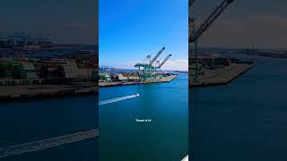 One of the largest ports in the world. The #Port of Los Angeles, #California. #shorts