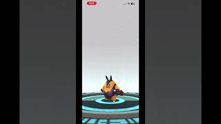 Evolving Tepig Shiny to Pignite Shiny | Pokémon Go