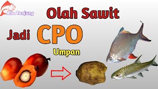 Cara Mudah Mengolah Sawit Menjadi CPO untuk Umpan ikan Tawes Jurung DKK #1