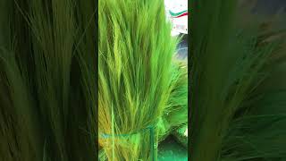 RAW MATERIAL GRASS BROOM FOR CLEANING #shortsviral #shorts