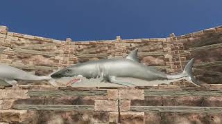 Stranded Deep - Trophy Room