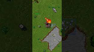 Tibia Time Boosted Series: Hunter! 🏹 #tibia #gaming #shorts