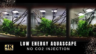 NON CO2 INJECTED LOW ENERGY NATURE AQUARIUM, WATERBOX CLEAR MINI 10 CHILLED AND RELAXING 2021