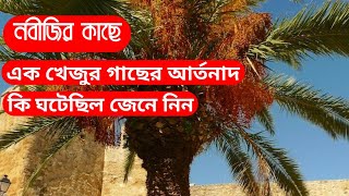 মহানবী (সা) এর কাছে এক খেজুর গাছের আর্তনাদ,জানুন কি ঘটেছিল||Khejur er artonad||Pankouri News||Bangla