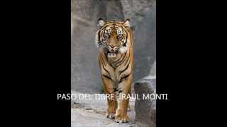 PASO DEL TIGRE - RAUL MONTI -.