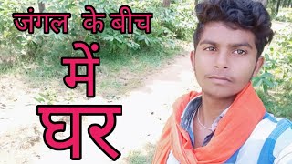 जंगल के बीच में घर || vlog with jitu