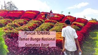 UPDATE Taman Bunga PUNCAK TONANG part 3