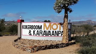 Kokerboom Caravan Park Drive thru - Springbok