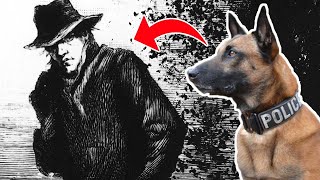 How Jack the Ripper Helped Pioneer Sniffing Dogs - The History of Detection Dogs