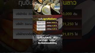 ทุนจีนบุกสปป. ลาว เหมาที่ปลูก “ทุเรียน” ดันเป็นแหล่งผลิตใหญ่ | BUSINESS WATCH | 21-11-67