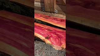 Beautiful cedar #sawmill #woodmizer #lt35