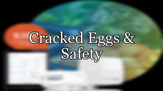 Cracked Eggs & Safety