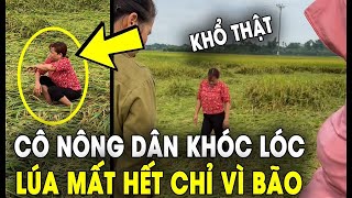 Bán mặt cho đất bán lưng cho trời, giờ ra nông nỗi này đây  | Tin 4s