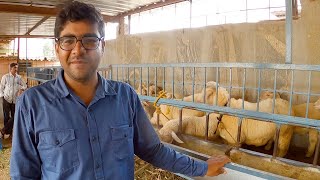 Sheep farming by Asif at Mattabarlu