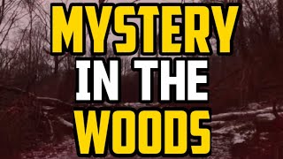 Exploring The Spooky Woods | Hunting Cryptids