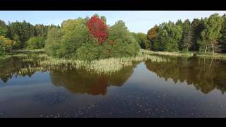 4K UHD - Donadea Forest Park Kildare Ireland, Inside the Castle