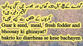 Gawaray k beej, Gawara meal, Gawar a ka bhoosa and Gawara ghaas ki ghizayat