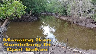 mancing ikan sembilang spot Bakau