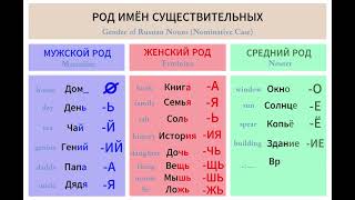 РКИ. Род имён существительных / Gender of Russian nouns (Nominative Case)