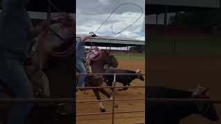 Throwback to my first ever team roping a few years ago #teamroping #rodeo #horses #roping