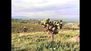 2 TERRENOS DE 1,942 M2 C/1 EN SAN MIGUEL DE ALLENDE, GTO. MEX.