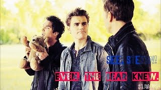 The Vampire Diaries Season 6 humor || "Even the bear knew."