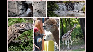 Bronx Zoo , New York : Part 1