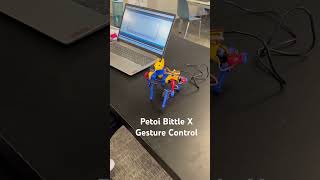 Petoi Bittle X - Gesture Control using Sensors