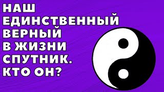 Наш единственный верный спутник в жизни. Кто он?