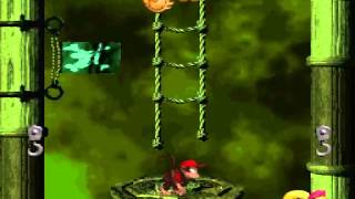 Donkey Kong Country 2 (Perfect Run): World 3, Level 5