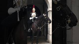 The Blues and Royals #youtubeshorts #horseguardsparade