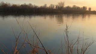 Рыбалка на холодной воде, плотва, карась, сазанчик/Осенняя рыбалка