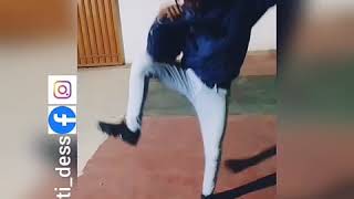 Gugulethu dance cover by Okbhuti Dess - Prince kaybee ft indlovukazu