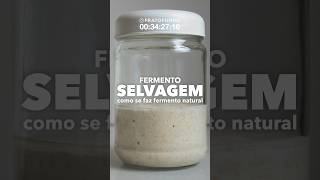 4H TIMELAPSE: Fermentation (Fermentação)