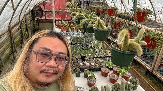 Crazy Inventory! Rosales Has Some Highly Coveted Plants Right Now!