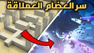 ماهو سر العضام العملاقة ب ماين كرافت؟ || Minecraft