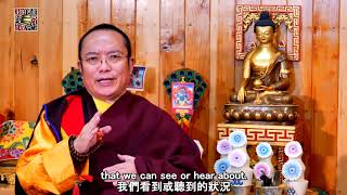 Tai Situ Rinpoche  New Year Message  2021