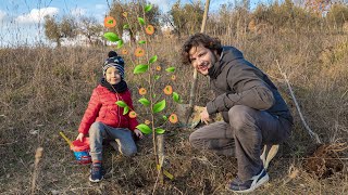 Piantare un albero