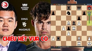 Sốc toàn tập, Vua cờ bị chiếu hết mà không biết | Norway Chess 2024