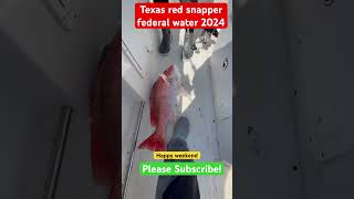 Texas federal water is officially open 2024. #fishing #facebook #tiktok #fish #ytshort