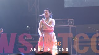 WHITE SHOES & THE COPLES COMPANY - AKSI KUCING, LIVE AT MANDALA KRIDA