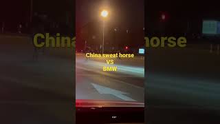 China sweat horse VS BMW.