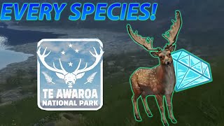 Hunting EVERY Species on Te Awaroa