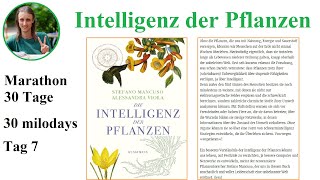 Buch Intelligenz der Pflanzen 30milodays Bericht Tag 7