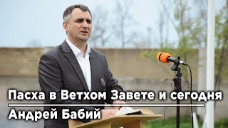 Пасха в Ветхом Завете и сегодня | Андрей Бабий