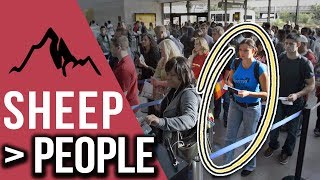 People Aren't Like Sheep, They're WORSE | Plus How To Fly First Class FREE (2018)