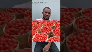 My experience in tomato 🍅 business